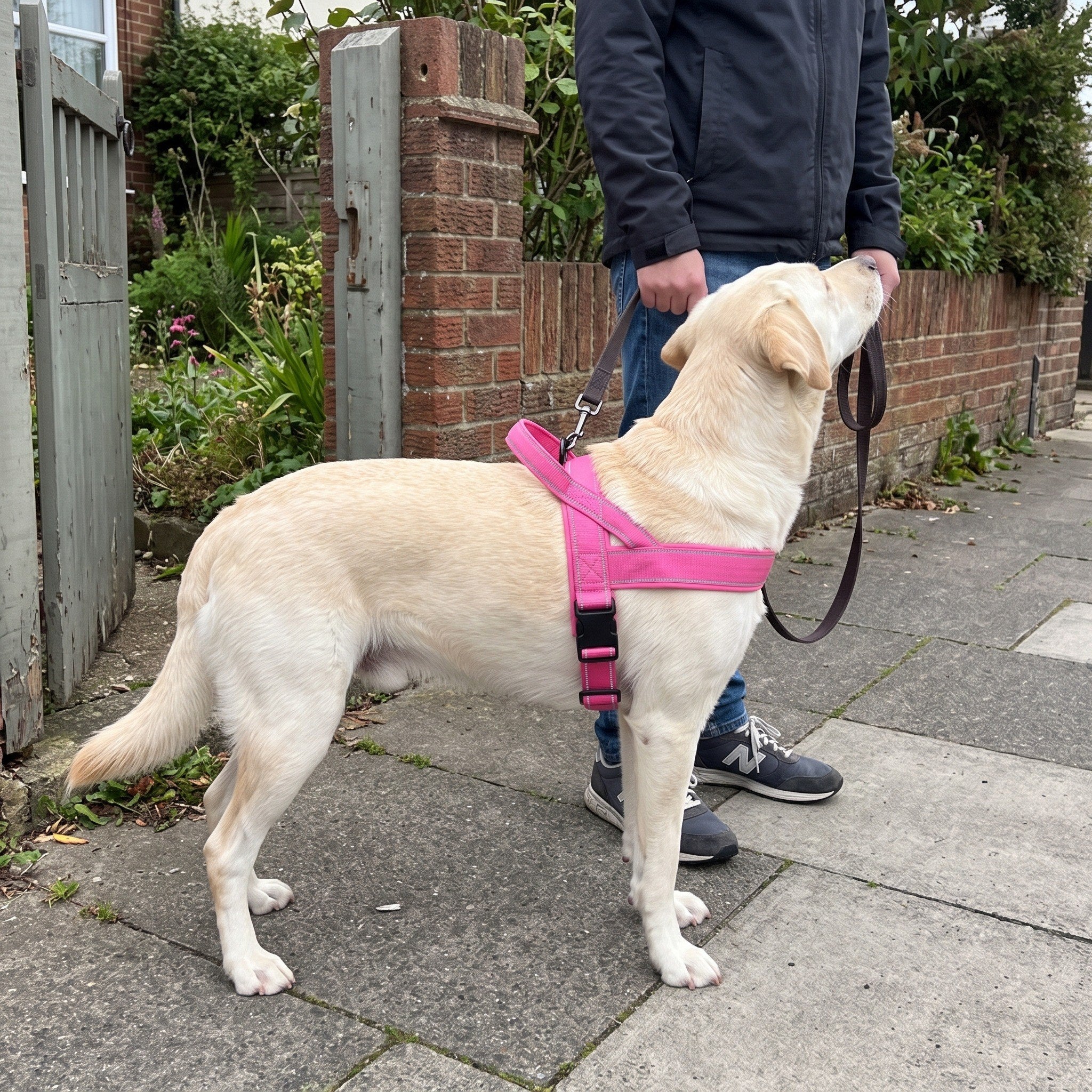 Trail & Tail dog harness in Pink