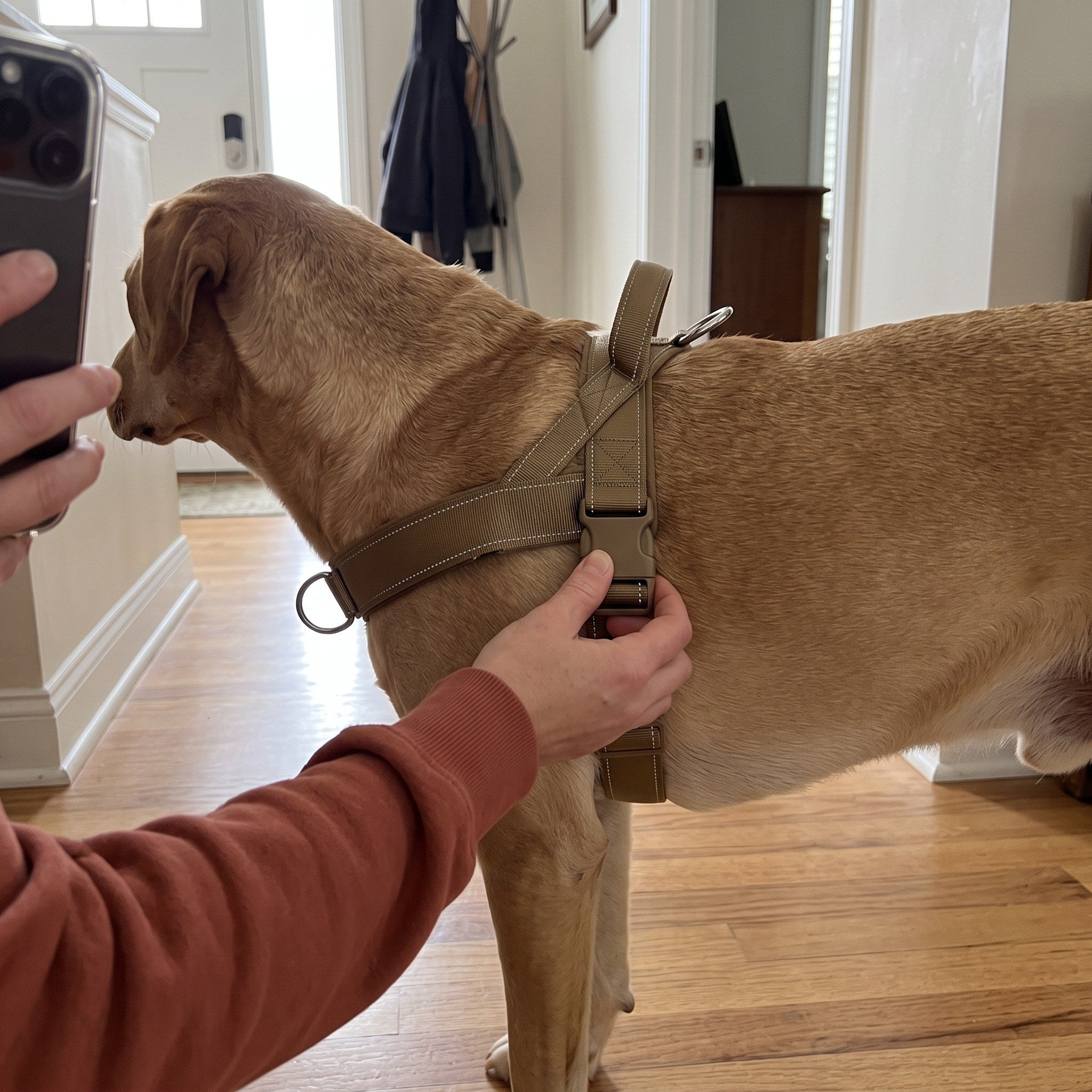 Olivia B. with their dog wearing the Trail & Tail webbing harness